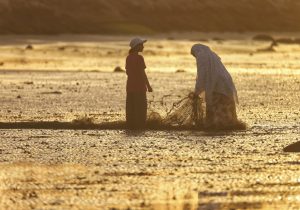ساحل بندر در طلوع آفتاب